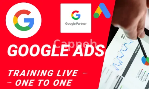 I will teach you how to run profitable facebook, instagram, and google ads