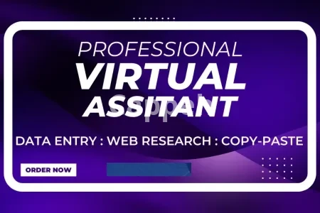 I will be your virtual assistant for data entry and web research