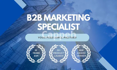 I will deliver your winning b2b marketing plan