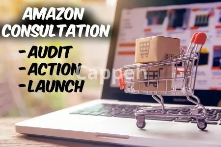 I will consult for amazon product launch store front listing etc