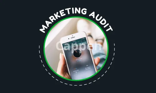 I will provide a marketing audit for your brand