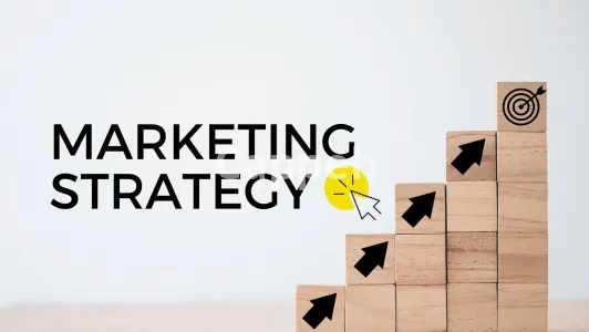 I will do a comprehensive marketing strategy development for your business growth