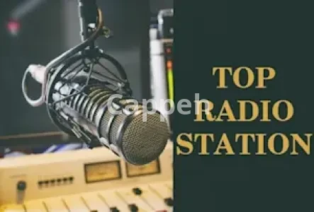 I will promote your podcast organically to 10k college radio stations