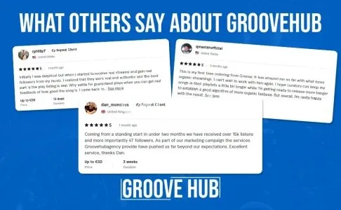 I will pitch music to a big network of organic playlists