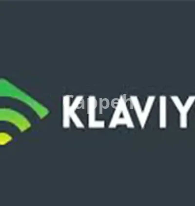 I will setup klaviyo email flows and campaigns