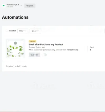 I will do mailerlite email marketing automation, landing page setup