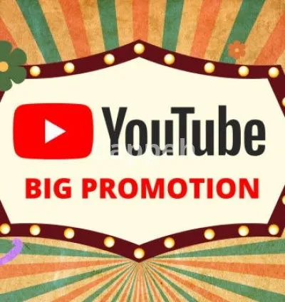 I will do large audience youtube video promotion