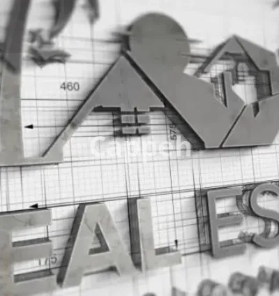 I will create 5 stunning animated logo intro videos in 24 hours