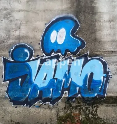 I will make a real graffiti video with your logo or image