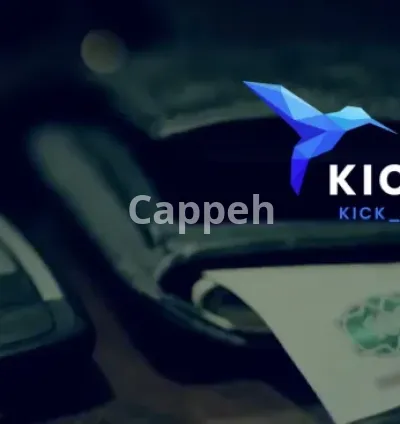 I will do elegant motion graphic videos