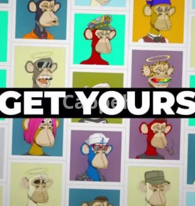 I will create this minimal nft promo short art gallery video