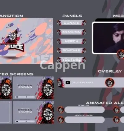 I will design the best animated stream package for you