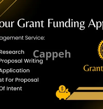 I will do grant proposal writing, grant research, grant application and business plan