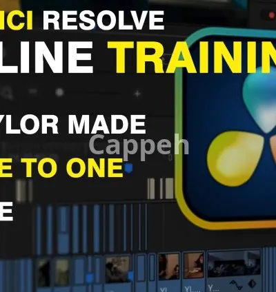 I will give you one to one and personalized davinci resolve lessons