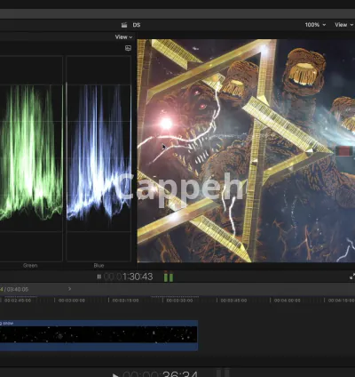I will teach you final cut pro and video editing