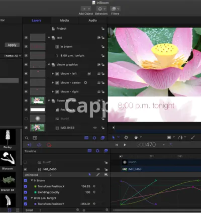 I will teach plugin creation in apple motion 5