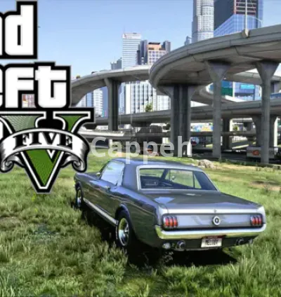 I will install mods for you on gta 5