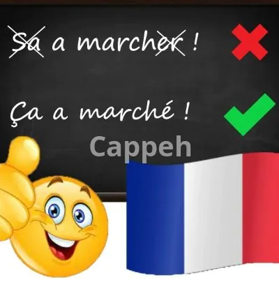 I will proofread any french writing you need in one day