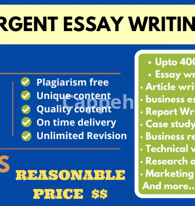 I will write professional and well researched essay in just 4 hours