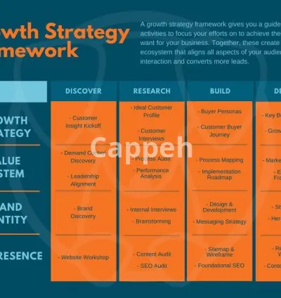 I will provide efficient marketing strategies to target customers