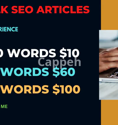 I will write bulk SEO articles and blogs, high quality content