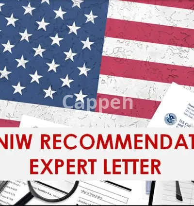 I will write an eb2 niw recommendation letter or expert letter