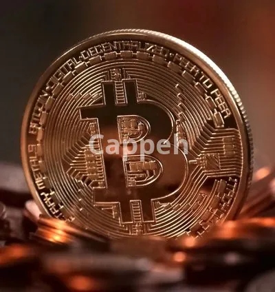 I will write high quality cryptocurrency articles and blog posts