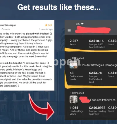 I will send you my best performing real estate facebook ads
