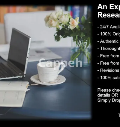 I will write summary, reflection, articles, and white paper in 24h