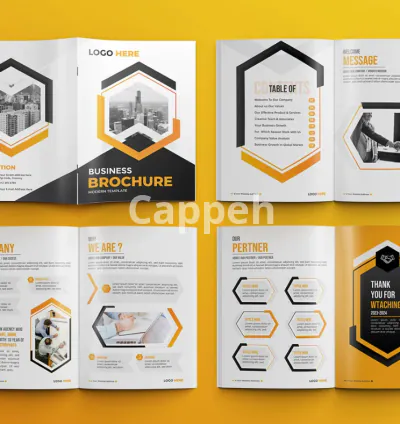 I will write and design company profile, presentation, pitch deck, white paper