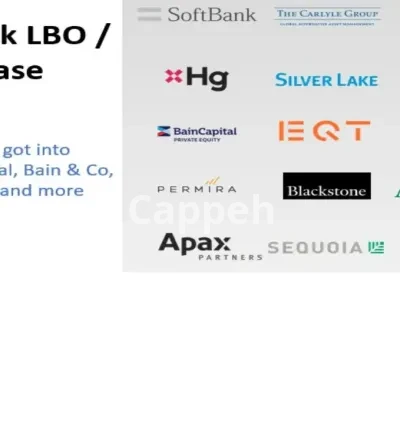 I will provide mock private equity case studies