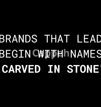 I will suggest brand name ideas for your business or company that last