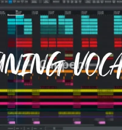 I will manually tune, edit, and mix your vocal to perfection