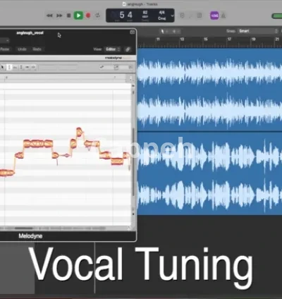 I will align and tune your vocal with melodyne