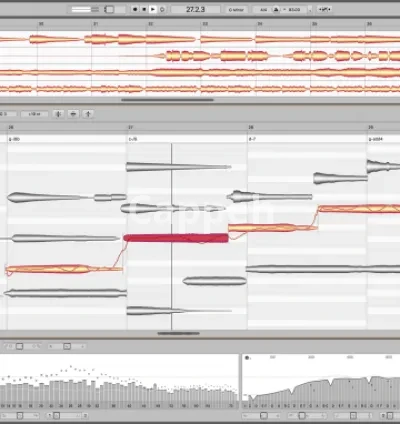 I will do your vocal pitch and time correction, mixing, mastering