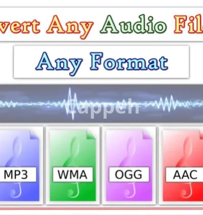 I will convert any audio file to any format mp3, wav, m4a, flac etc