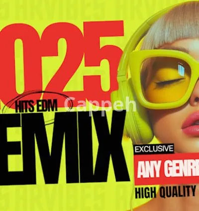 I will remix song into edm, afro, house, techno, hardstyle, dubstep