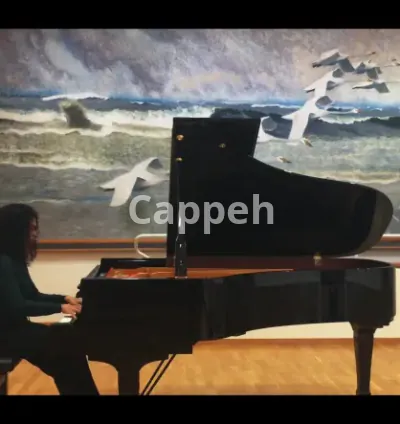 I will give you classical piano lessons