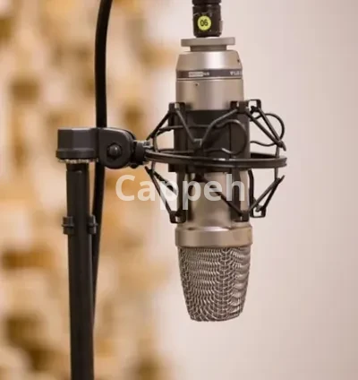 I will professionally edit and master your audiobook for 30 dollars