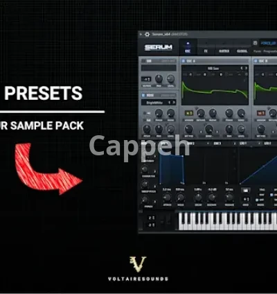 I will make great serum presets for your edm sample pack
