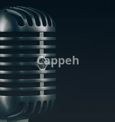 I will sound design, sound effects for game, video, animation, film