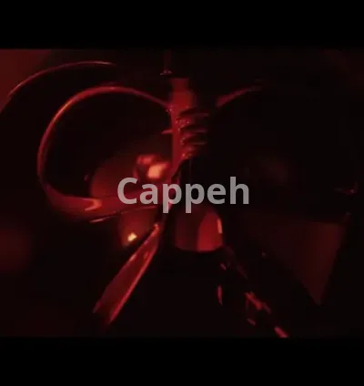 I will do professional sound design for films, games, ads, youtube