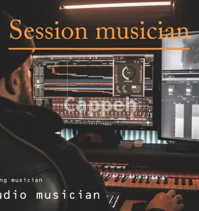 I will record violin, viola, strings section within 24hr