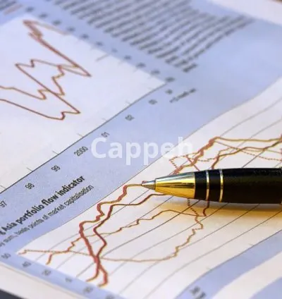 I will be your financial, and investment advisor