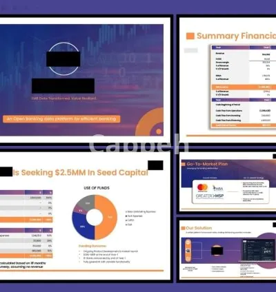I will prepare investor ready pitch deck