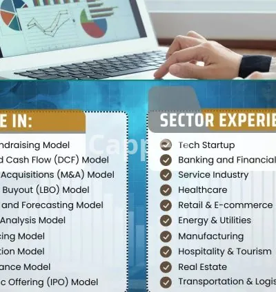 I will provide investor ready financial models