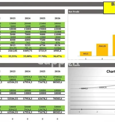I will do financial model,financial projections,cash flow,profit and loss,balance sheet