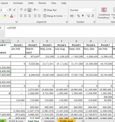 I will provide sales projections, financials and budgeting tool assistance