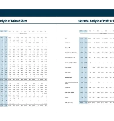 I will do financial analysis for you