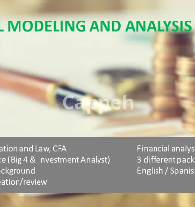 I will do financial modeling and analysis